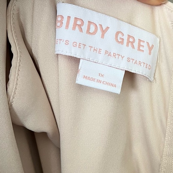 Birdy Grey Champagne Amy Chiffon Bridesmaid Dress Size 1X NWT - Picture 7 of 9